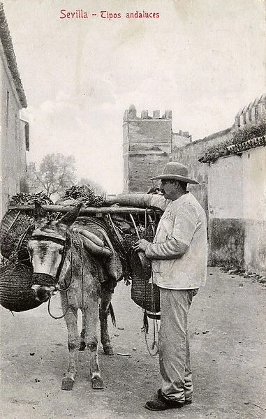 Andalucian Man with his laden donkey - Seville, Spain