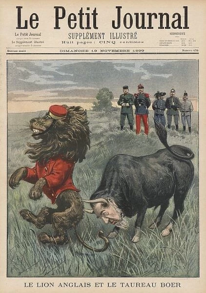 Boer Bull & Brit Lion