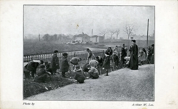 Children Gardening, Thought to be at Muswell Hill, London
