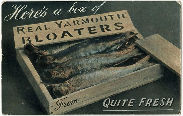 Heres a box of Real Yarmouth Bloaters - quite fresh