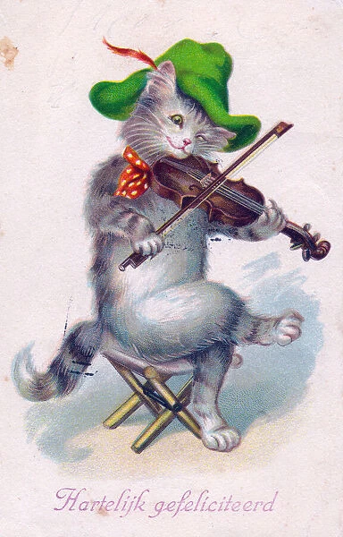 Musical cat playing a violin on a Dutch postcard