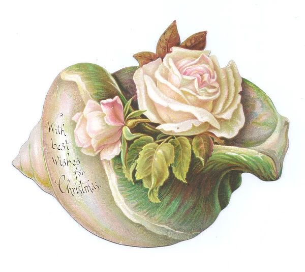 Pale pink roses on a shell-shaped Christmas card
