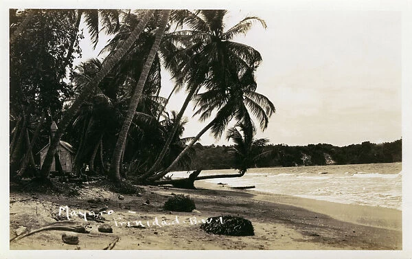 Trinidad and Tobago, West Indies - Mayaro Beach