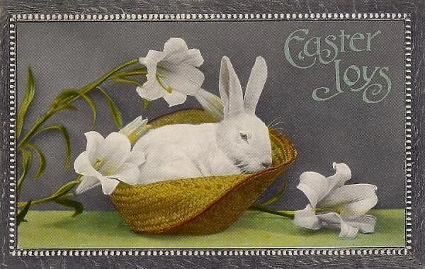 White Rabbit Easter 1912