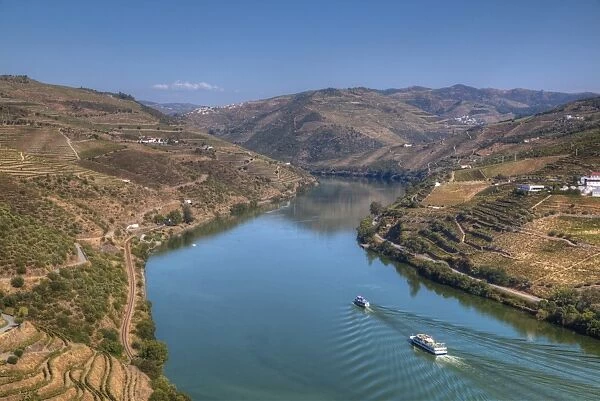 Tourist boats, vineyards and the Douro River, Alto Douro Wine Valley, UNESCO World Heritage Site