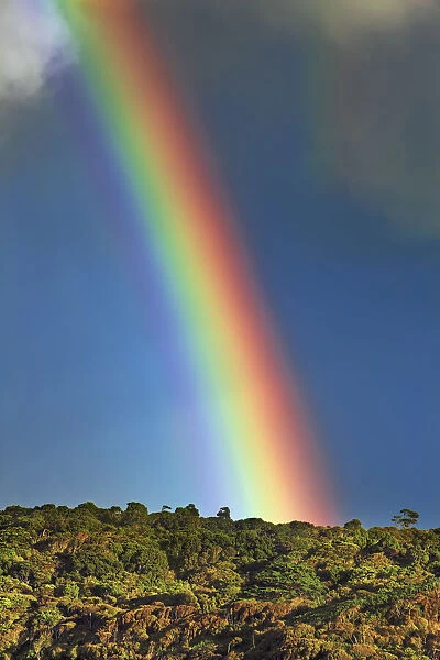 Rainbow - New Zealand, South Island, Southland, Slope Point