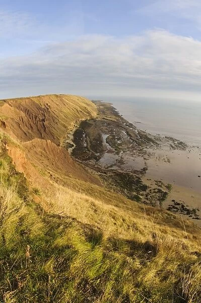 View of rocky coastline, cliffs and sea, looking from clifftop at Filey Country Park, Filey Brigg, North Yorkshire