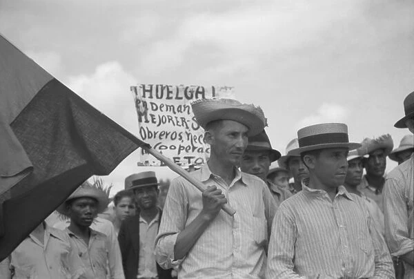 PUERTO RICO: STRIKE, 1942. Striking workers picketing near the sugar mill in Yabucoa, Puerto Rico