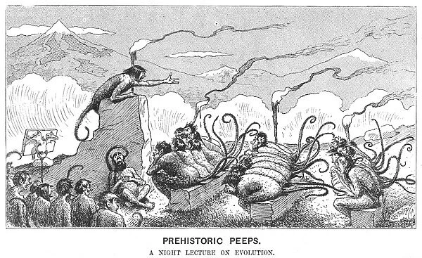 Prehistoric Peeps: Monkeys attending an evening lecture. Cartoon on evolution from Punch