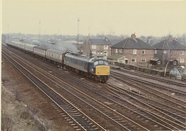 Dringhouses, York, March 11th 1981