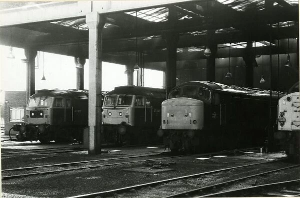 York Motive Power Depot. August 10th 1981