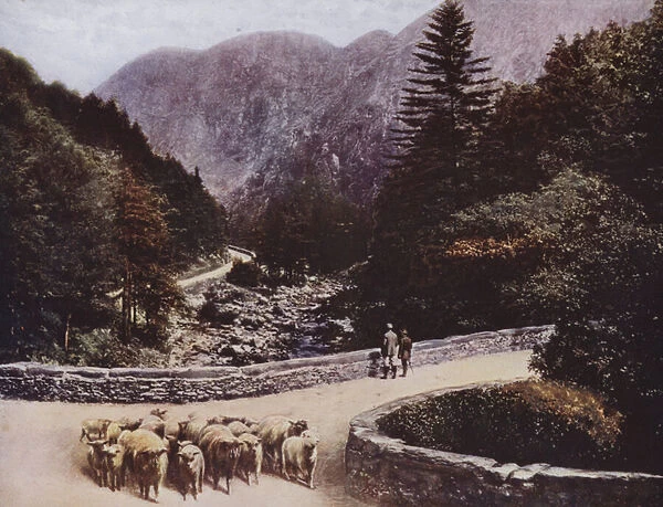 Aberglaslyn Pass (colour photo)