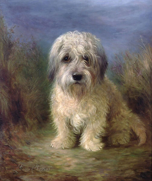 Dandie Dinmont Terrier (oil on canvas)