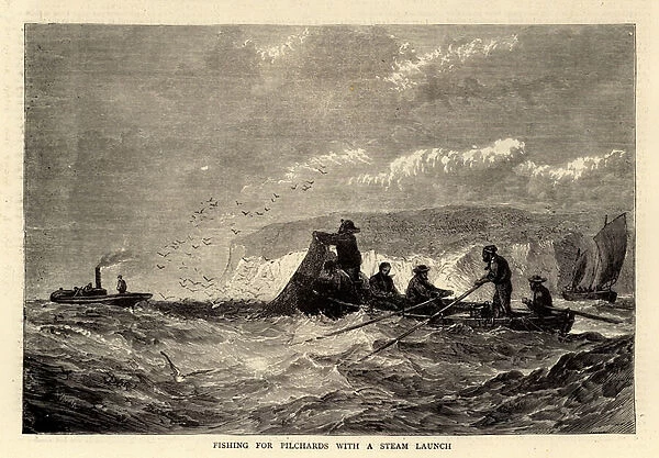 Fishing for Pilchards with a Steam Launch (engraving)