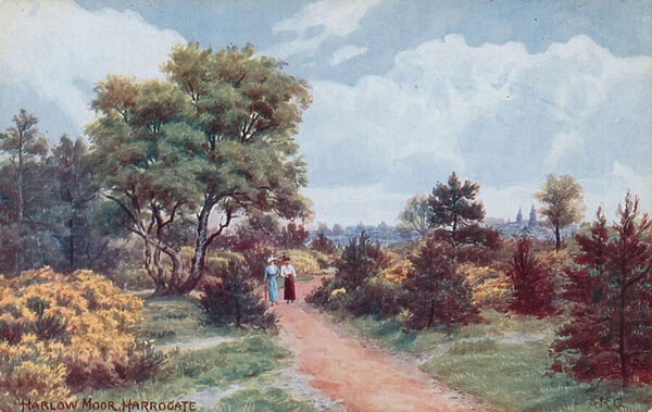 Harlow Moor, Harrogate (colour litho)
