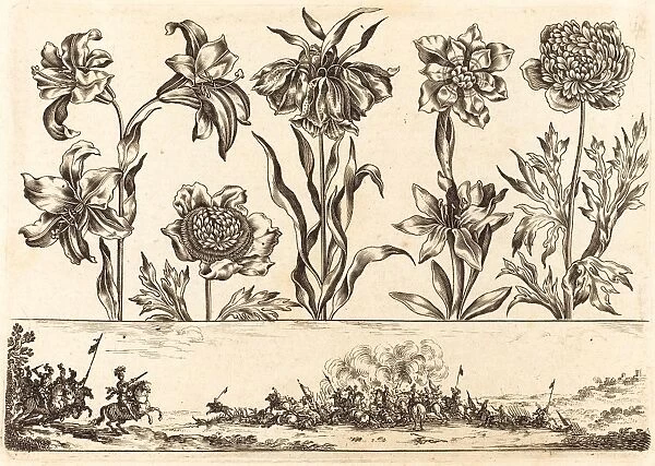 Nicolas Cochin after Balthasar Moncornet (French, 1610 - 1686), Flower Print no. 8