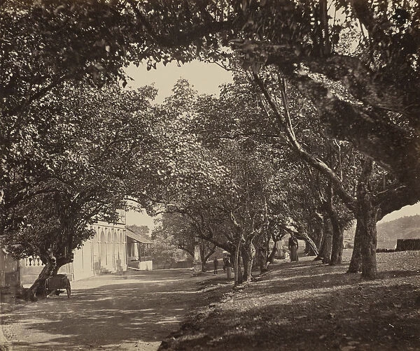 Oriental Hotel Galle Ceylon Sri Lanka 1863 1874