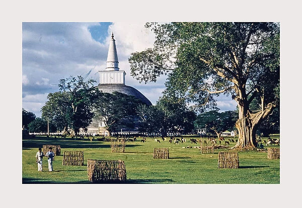 Sri Lanka Ceylon Anuradhapura Ruvanvali Dagoba