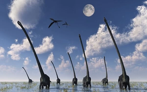 A herd of Omeisaurus dinosaurs on the move