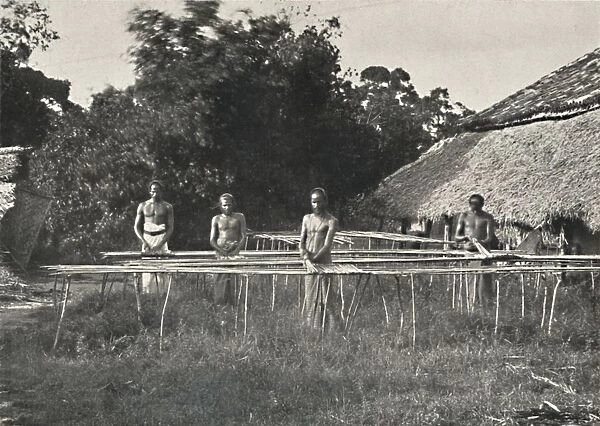 Singhalesische Zimmtarbeiter bei der Arbeit, 1926
