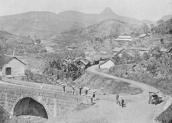 View of Maskeliya showing Adams Peak, c1890, (1910). Artist: Alfred William Amandus Plate