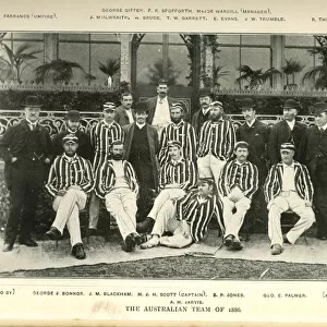 The Australian Cricket Team 1886