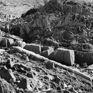 Girvan Rock Formation