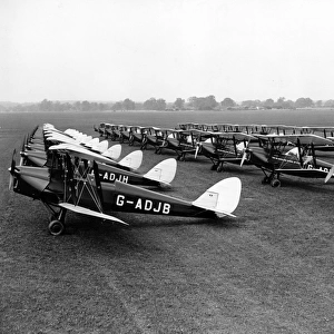 de Havilland DH82A Tiger Moths including G-ADJB and G-ADJH