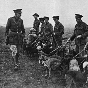 Major Richardson and his messenger dogs