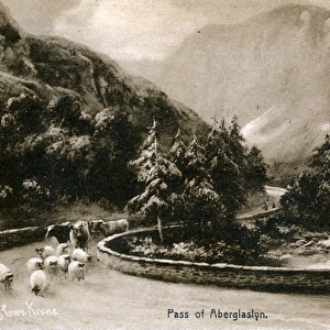 Pass of Aberglaslyn, Caernarvonshire