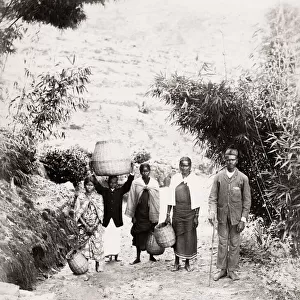 Plantation workers on an Indian tea estate
