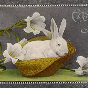White Rabbit Easter 1912