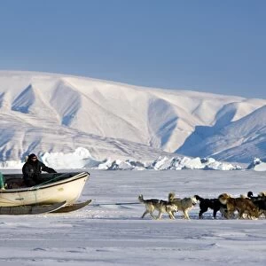 Dog sled, Qaanaaq, Greenland