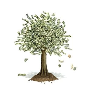 Money tree, conceptual artwork