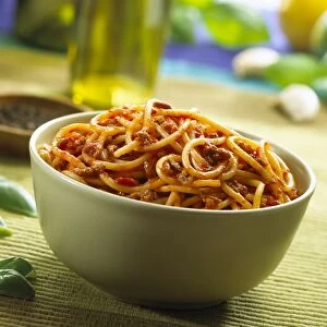 Spaghetti bolognese C014 / 1422