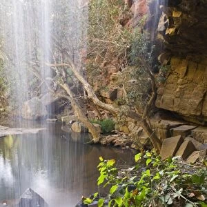 Waterfall, Deadcock Den, Mitchell River National Park, Victoria, Australia, Pacific