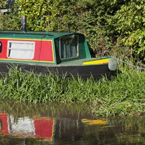Narrowboat moored at canal bank, Shropshire Union Canal, Beeston, Tarporley, Cheshire, England, october