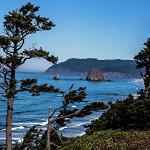 Cannon Beach, Oregon. Weathered Pines, Haystack Mountains, and the Pacific Ocean Coast