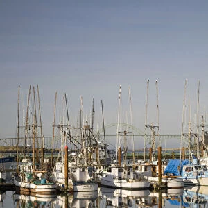 OR, Oregon Coast, Newport, Commercial fishing fleet at the Port of Newport, Yaquina
