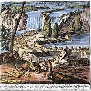 NIAGARA FALLS: BEAVERS, 1715. Beavers at Niagara Falls. Detail from Molls Map of North America, 1715