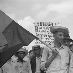 PUERTO RICO: STRIKE, 1942. Striking workers picketing near the sugar mill in Yabucoa, Puerto Rico