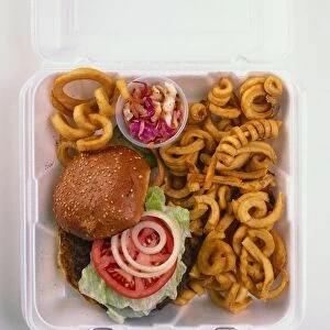 USA, New York, Takeaway container with hamburger and curly fries