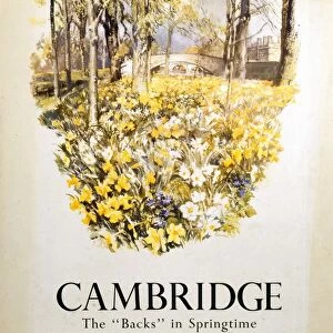 England Collection: Cambridgeshire