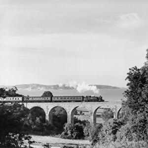 Churston Viaduct, c 1959. The 41xx class 2