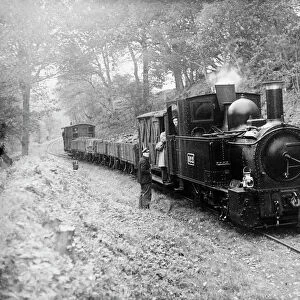 Freight train on the Welshpool & Llanfair Light Railway, by Selwyn Pearce-Higgins