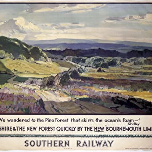 To Hampshire and the New Forest Quickly, SR poster, 1938