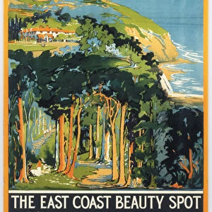 Hayburn Wyke - The East Coast Beauty Spot
