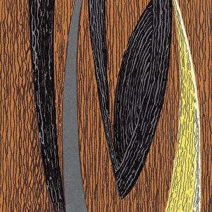 Woodgrain Pattern