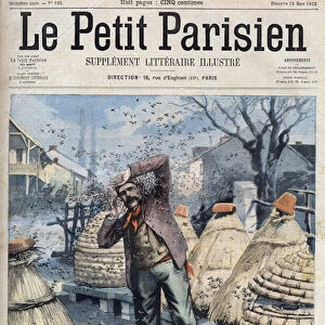 Death of a beekeeper attacked by bees extracting honey from the hives in Quincey near Nuits Saint Georges (Nuits-Saint-Georges) in Cote d Or (Cote-d Or), France in "Le Petit Parisien", 1902 (engraving)