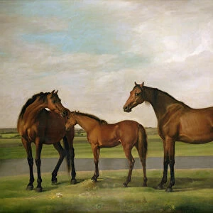 Mares and Foals Disturbed by an Approaching Storm, 1764-66 (oil on canvas)